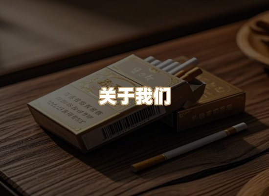 关于蓝帝网